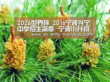2026世界杯官网