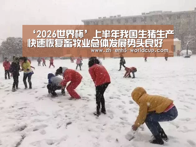‘2026世界杯’上半年我国生猪生产快速恢复畜牧业总体发展势头良好(图2) 2026世界杯官网