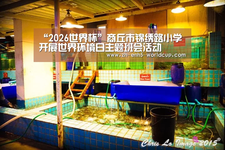 “2026世界杯”商丘市锦绣路小学开展世界环境日主题班会活动(图1) 2026世界杯官网
