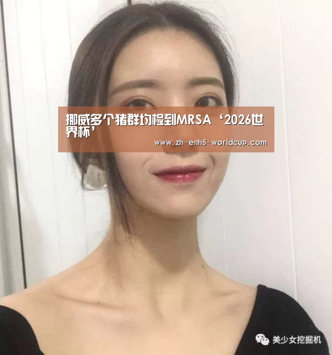 世界杯买球