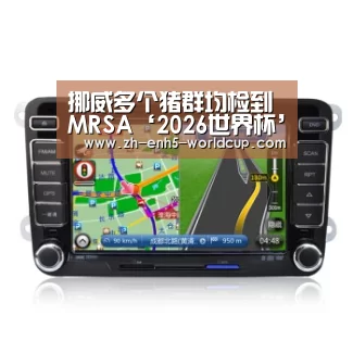 2026世界杯官网