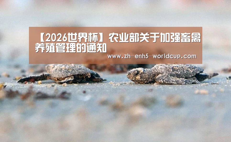 【2026世界杯】农业部关于加强畜禽养殖管理的通知(图2) 2026世界杯