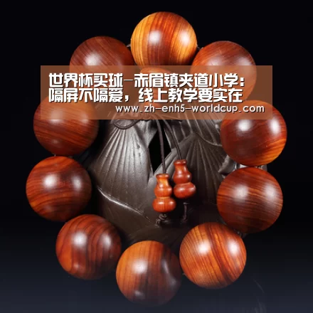 世界杯买球-赤眉镇夹道小学:隔屏不隔爱,线上教学要实在(图4) 2026世界杯