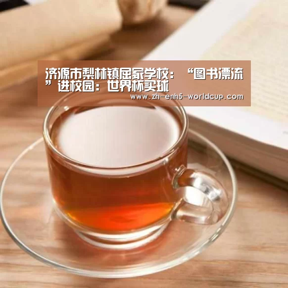 济源市梨林镇屈冢学校:“图书漂流”进校园:世界杯买球(图1) 2026世界杯