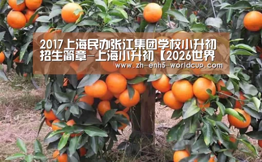 2017上海民办张江集团学校小升初招生简章-上海小升初【2026世界杯】(图2) 2026世界杯