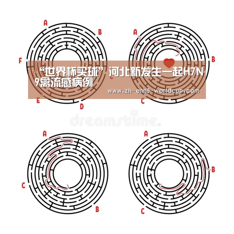 2026世界杯官网